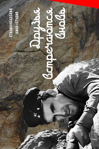 Friends Meet Again movie poster