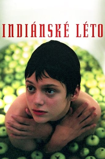 Indian Summer movie poster