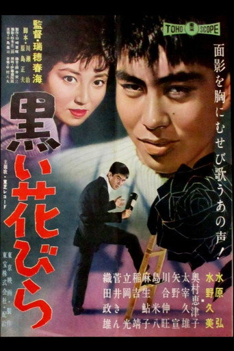Black Flower Petal movie poster