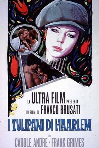 Tulips of Haarlem movie poster