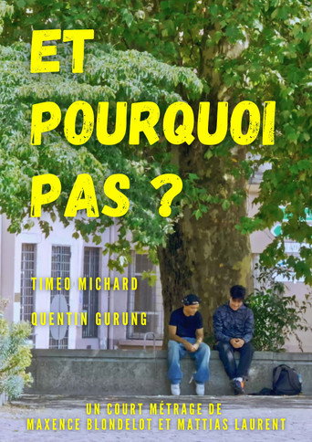 Et Pourquoi Pas ? movie poster
