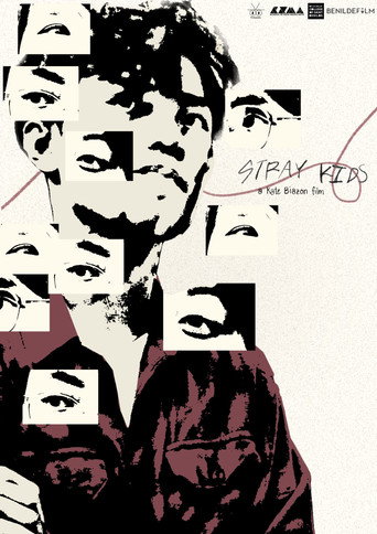 Stray Kids movie poster