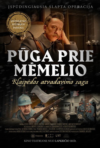 It's snowing near Memel movie poster