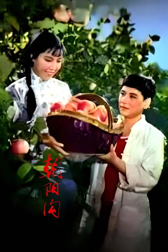朝阳沟 movie poster