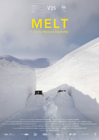 Melt movie poster