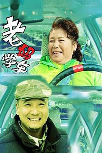 老妈学车 movie poster