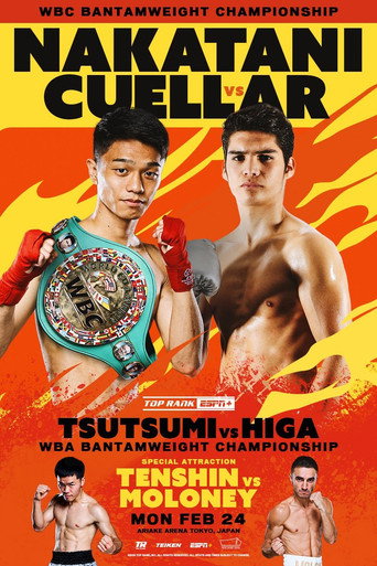 PRIME VIDEO BOXING 11 movie poster