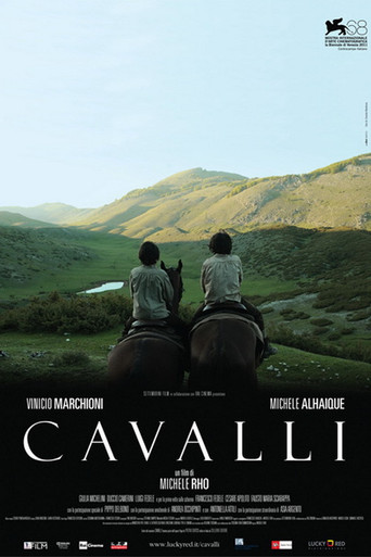Cavalli movie poster