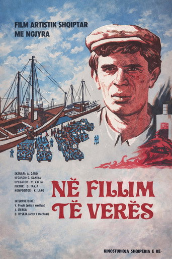 At the Beginning of Summer movie poster