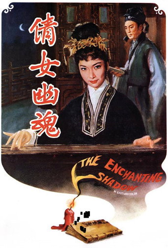 The Enchanting Shadow movie poster