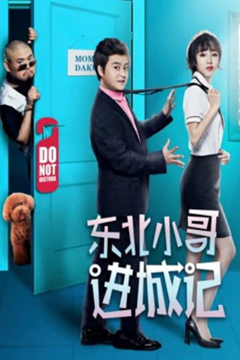 东北小哥进城记 movie poster
