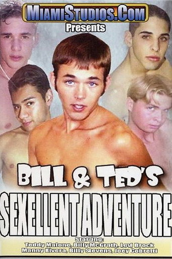 Bill & Ted's Sexellent Adventure movie poster