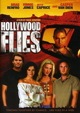 Hollywood Flies movie poster