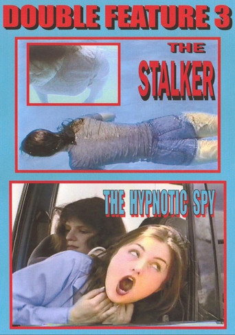 The Stalker movie poster