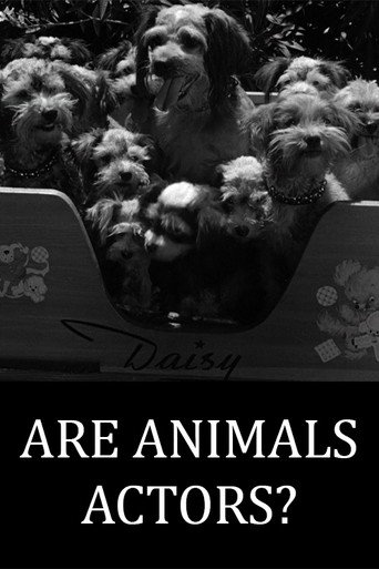Are Animals Actors? movie poster