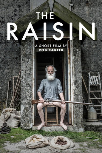 The Raisin movie poster