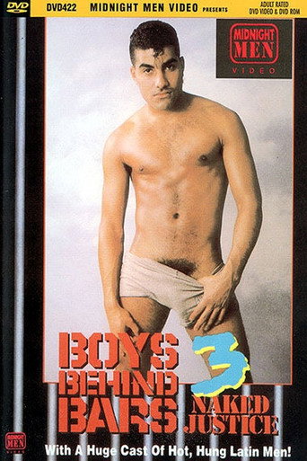 Boys Behind Bars 3: Naked Justice movie poster