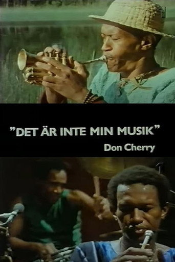 It Is Not My Music movie poster