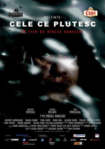 Floating Things movie poster