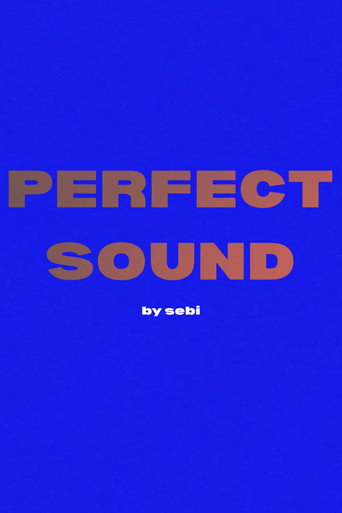 Perfect Sound movie poster