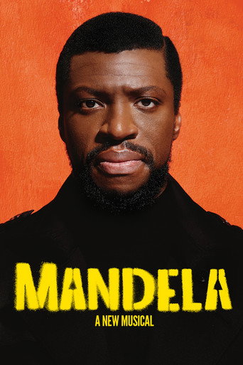 Mandela movie poster