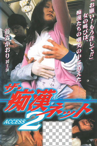 The Molester Net ACCESS 2 movie poster