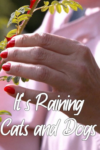 It's Raining Cats and Dogs movie poster