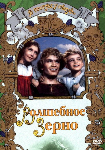 The Magic Seed movie poster