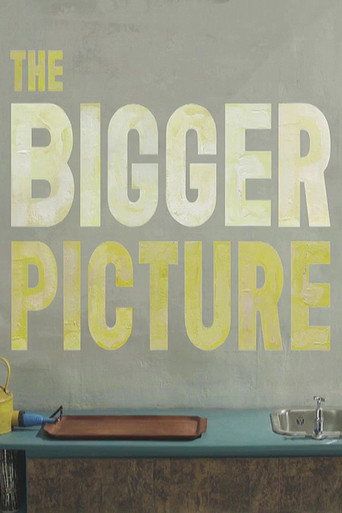 The Bigger Picture movie poster