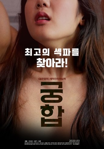 Compatibility movie poster