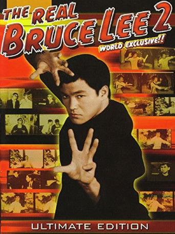The Real Bruce Lee  2 movie poster