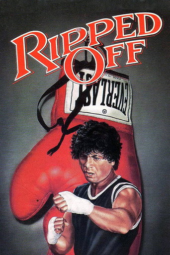 The Boxer movie poster