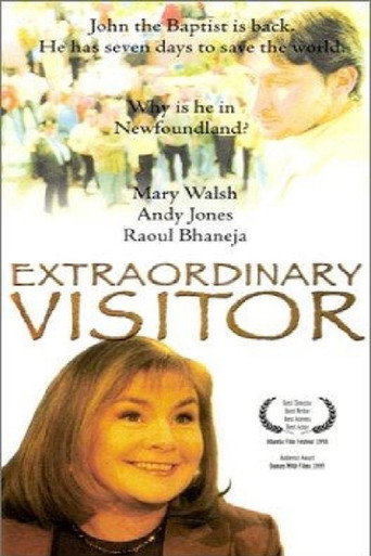 Extraordinary Visitor movie poster