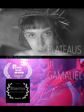 Plateaus in Gamaliel movie poster