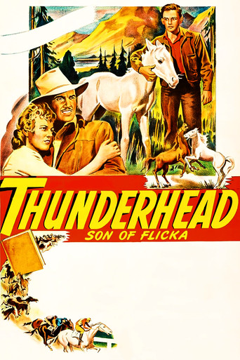 Thunderhead: Son of Flicka movie poster