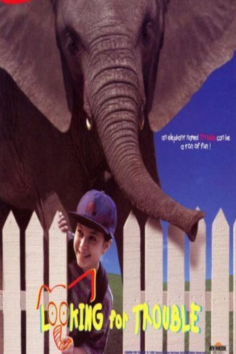 Looking for Trouble movie poster