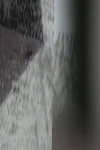 Snows of Reduction movie poster