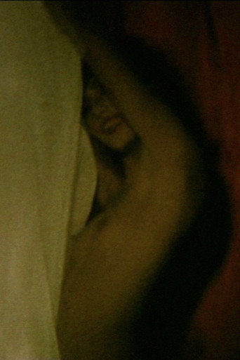Compulsive Viewing: The Films of Guy Bourdin movie poster