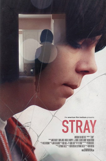 Stray movie poster