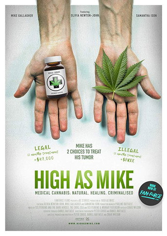 High as Mike movie poster