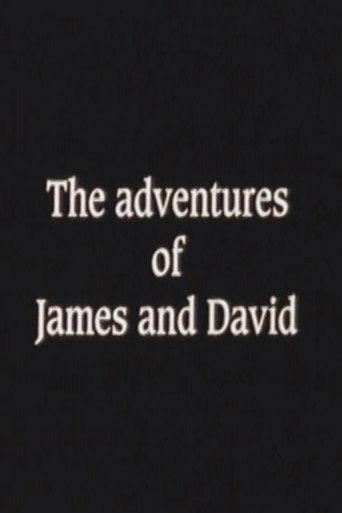 The Adventures of James and David movie poster