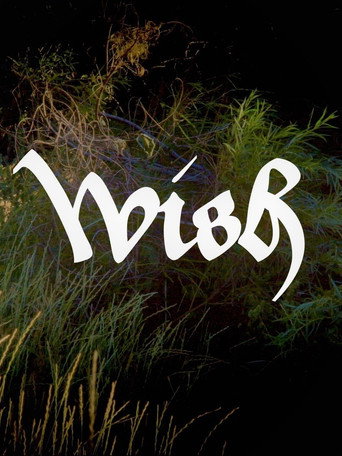Wish movie poster