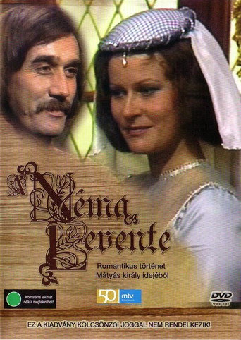 A néma levente movie poster