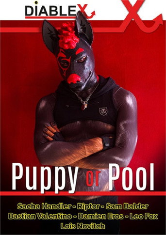 Puppy or Pool movie poster