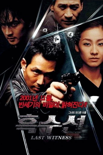 The Last Witness movie poster