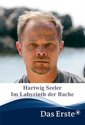 Hartwig Seeler – Im Labyrinth der Rache movie poster
