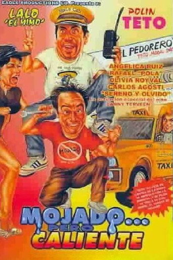 Mojado... pero caliente movie poster