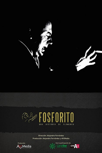 Fosforito: una historia de flamenco movie poster