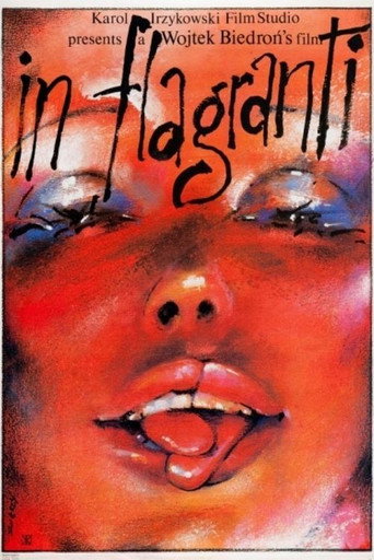 In flagranti movie poster