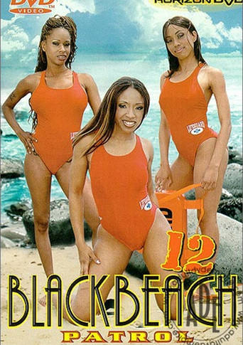 Black Beach Patrol 12 movie poster